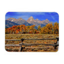 Search for mountain range cards Tree