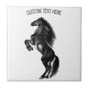 Search for mustang tiles Animal