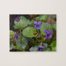 Search for ladybug puzzles Flower