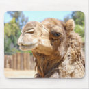 Search for camel mousepads Zoo
