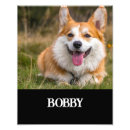 Search for cute corgi art Pet