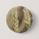 Search for flying bugs badges Nature