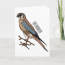 Search for kestrel cards Bird