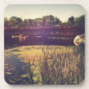 Search for train coasters Bridge