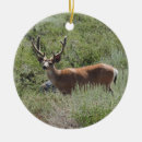 Search for mule christmas tree decorations Hunting