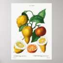 Search for bitter posters Citrus