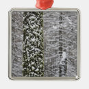 Search for nevada christmas tree decorations Sierra nevada mountains
