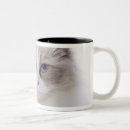 Search for ragdoll mugs Cute