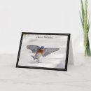Search for bluebird of happiness cards Animal