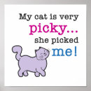Search for funny sayings posters Cat