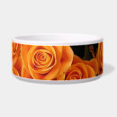 Search for orange pet bowls Flower