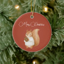Search for red squirrel christmas tree decorations Animals