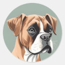 Search for boxer lover stickers Animal