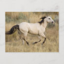 Search for oregon postcards Horse