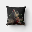 Search for hen cushions Rooster