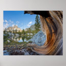 Search for inyo posters Don paulson