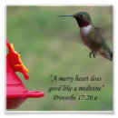 Search for feeders art Hummingbird