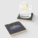 Search for african daisies barware Daisy