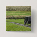 Search for buggy badges Vintage