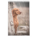 Search for christmas calendars Dog