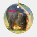 Search for australian kangaroo christmas tree decorations Marsupial