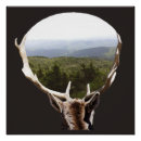 Search for domain posters Wildlife