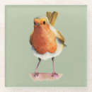 Search for nature lover coasters Birds