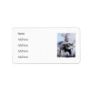 Search for engines return address labels Steam