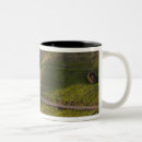 Search for moai mugs Rapa