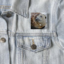 Search for seals badges Wildlife