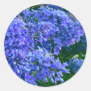 Search for vintage lilacs stickers Flower