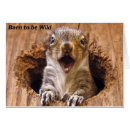 Search for squirrel meme Shocked