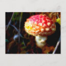 Search for fly agaric postcards Amanita