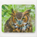 Search for horned owl mousepads Bird
