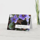 Search for african violets cards Purple