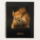 Search for squirrels office supplies Cute