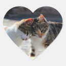 Search for cuddle stickers Pet