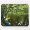 Search for jerry mousepads New england