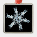 Search for natural sciences christmas tree decorations Micrography
