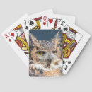 Search for owl playing cards Raptor