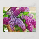 Search for easter basket postcards Purple