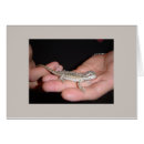 Search for baby dragon postcards Reptile