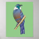 Search for tui posters New zealand
