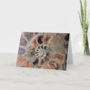 Search for spirals cards Magic