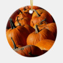 Search for vegetable garden christmas tree decorations Farm