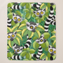 Search for lemur blankets Jungle