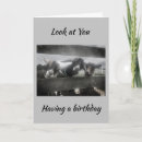 Search for funny donkey birthday cards Friend