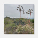 Search for pine trees magnets Green