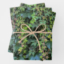 Search for vines wrapping paper Greenery