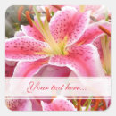 Search for lilium stickers Lilies